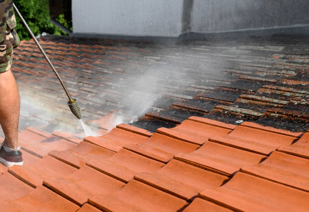 Best Affordable Pressure Washing  in Mineola, NY