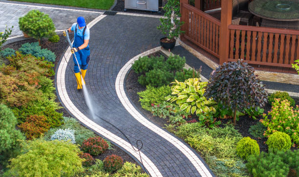 Best Commercial Building Pressure Washing  in Mineola, NY